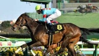 秋華賞の有力候補はソダシを含めた５頭。大穴なら「漁夫の利」狙う後方一気馬