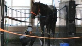 【名馬】本田師、カワカミプリンセス秘話「手ごたえがないのに追えばあんなに伸びる馬はいない」/ねぇさんのトレセン密着