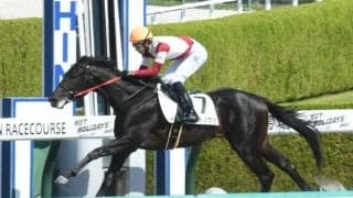 【阪神4R新馬戦結果】ゼットノヴァが盛り返して逃げ切る