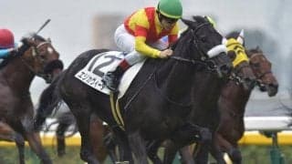 【東京3R新馬戦結果】エリカヴィータが外から差し切って快勝