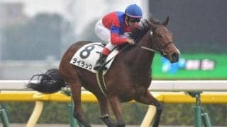 【東京5R新馬戦結果】オルフェーヴル産駒ライラックが押し切って完勝
