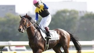 【富士S想定】ダノンザキッド、ラウダシオン、ワグネリアン…GI馬3頭が参戦