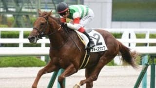 【阪神5R新馬戦結果】フォースクエアが内から抜け出して人気に応える