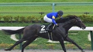 【プラタナス賞結果】8番人気ベストリーガードが逃げ切りV、3連単32万超えの波乱