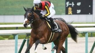 【紫菊賞結果】リブーストが馬なりで後続を突き放して無傷2連勝