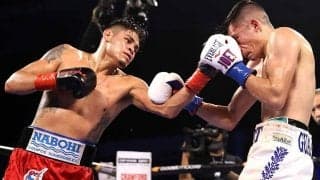 ナバレッテが3-0判定勝ちV2　壮絶打ち合いで挑戦者は顔ボコボコ…米記者「残忍な戦い」