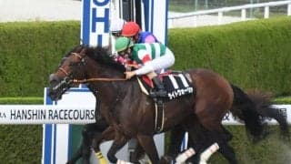 【太秦S結果】ライトウォーリアが3頭並んだ接戦を制す