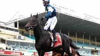 【海外競馬】ジャパンC登録のサードラゴネットが安楽死、昨年のコックスプレートなど豪G1・2勝