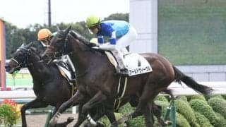 【秋華賞】アールドヴィーヴル今野師「どういう状況でもラストでは強い気持ちで伸びる」/ねぇさんのトレセン密着