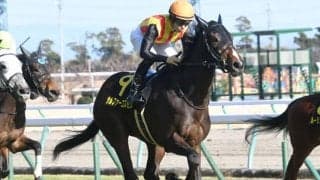 【秋華賞】サルファーコスモス陣営「2000mは競馬しやすい」/ねぇさんのトレセン密着
