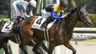 【秋華賞】マカヒキに続け！ ミスフィガロ陣営「成長を感じます」/ねぇさんのトレセン密着