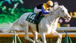 【本日の注目ポイント】阪神で牝馬三冠の最終戦・秋華賞