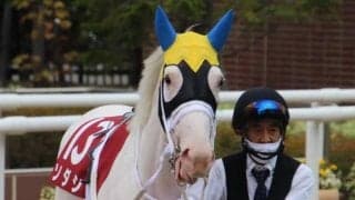 【秋華賞予想】今年は阪神競馬場で行われる牝馬三冠路線の最終戦