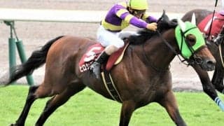 【東京ハイジャンプ予想】実績断然オジュウチョウサン、3連勝中アサクサゲンキを差し置いての期待は…