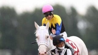 【秋華賞】意外に荒れない！ 牝馬3冠目は上位人気中心で？ 馬券傾向悪い枠順に入った馬は？