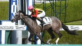 【阪神4R新馬戦結果】デリカダが2頭の一騎打ちから抜け出す