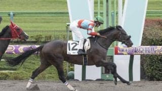 【東京4R新馬戦結果】ラニ産駒ムーヴが内から差し切りV