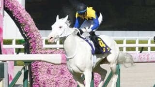 【秋華賞 13時時点オッズ】ソダシが単勝1.9倍で断然の1番人気、ファインルージュが6.0倍で続く