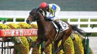 【阪神5R新馬戦結果】8番人気セルバーグが抜け出して快勝