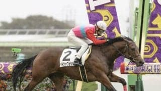 【東京5R新馬戦結果】武士沢友治騎手騎乗ペイシャフェリシテが逃げ切りV