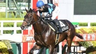 【もみじS結果】エイシンヒカリ産駒カジュフェイスがマイペースで逃げ切り連勝