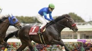 【東京ハイジャンプ結果】ラヴアンドポップが1年4か月ぶりの休み明けを制す、オジュウチョウサンは3着