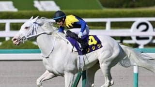 【秋華賞・馬体重】ソダシは474kg(+2)、ユーバーレーベンは464kg(+2)