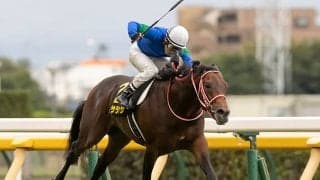 【オクトーバーS結果】パンサラッサが大逃げ決めてオープン初V