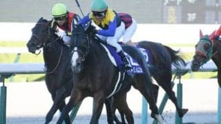 【秋華賞】アカイトリノムスメが最後の一冠で親子制覇！白毛ソダシは10着に敗れる