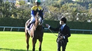 【勝負の分かれ目 秋華賞】戸崎騎手のソツのない騎乗でアカイトリノムスメが母仔制覇