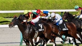 【西宮S】良血ジェラルディーナが3連勝を決める