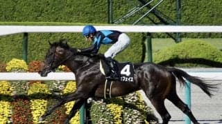 【もみじS】カジュフェイスが逃げ切りで連勝