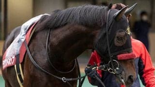 【東京ハイジャンプ】1986年以降最長間隔、ラヴアンドポップが約1年4ヶ月休み明けで重賞連勝