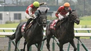 牡馬クラシック最終戦の菊花賞とマイルCS前哨戦の富士S/今週の競馬界の見どころ