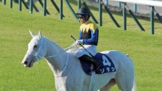 【秋華賞】吉田隼「申し訳ない気持ちです」レース後ジョッキーコメント