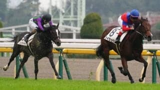 【新馬/東京5R】オルフェーヴル産駒 ライラックがデビューV