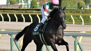 【先週のJRA抹消馬】ダービー馬レイデオロの半弟アブソルティスモ、銀蹄Sを制したロードグラディオなど