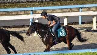 鳴尾記念を制したストロングタイタンの半弟リアドが福永祐一騎手でデビュー/関西馬メイクデビュー情報