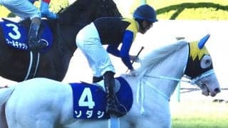 【秋華賞レース回顧】展開面では有利だったソダシ