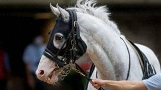 【ブラジルCハンデ確定】ハヤヤッコは57.5kg、エアアルマスは58.0kg