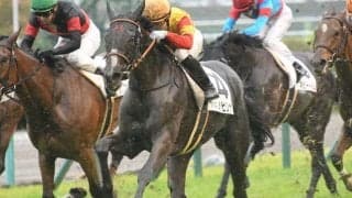 【菊花賞予想】AI予想が乱戦・菊花賞の狙い馬をズバリ！ 取り上げたのは超人気薄のキズナ産駒？