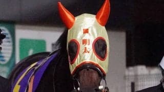 人気急上昇！ マヨネーズ色の勝負メンコが目印のメンタイマヨが重賞初出走