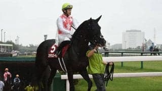 【菊花賞想定騎手】ステラヴェローチェは吉田隼人騎手、オーソクレースはC.ルメール騎手