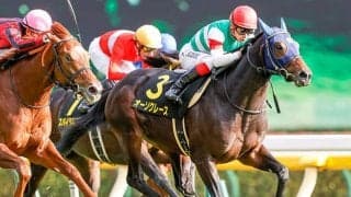 「非凡な長距離適性を伝えている」菊花賞ではエピファネイア産駒にも注目