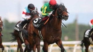 【富士S展望】マイルCSの前哨戦、あの馬に期待したい