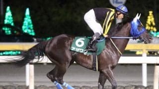 【門別競馬情報】地元1000mなら一枚上の速力で制圧かアザワク！先行力あるグレイトダージー、ダノンチャンスの踏ん張り、重賞勝ち馬カツゲキライデンらの差し脚も注目「さまにオープン」/地方競馬情報