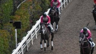 モズネズコなど、先週の入厩情報/栗東トレセンニュース