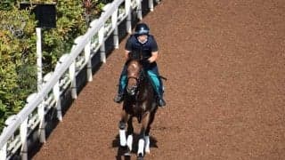 ローズクレストなど、先週のゲート試験/栗東トレセンニュース