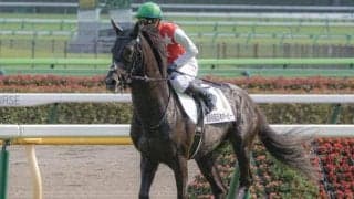 【菊花賞予想オッズ】ステラヴェローチェが予想1番人気、オーソクレースが続く