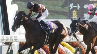 【菊花賞プレイバック】混戦の中、始まりを告げたキタサンブラックの“GI祭り”